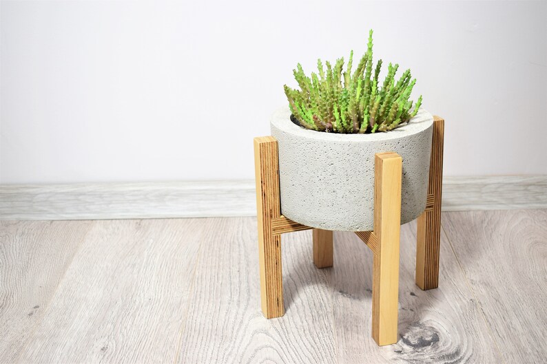 Minimalist modern plant stand of birch plywood Indoor