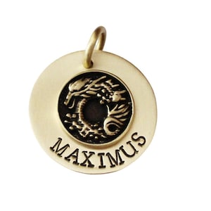 Custom Dragon Dog Tag, Pet ID Tag for Dogs, Dog Name Tag, Fantasy Pet Tag, Mythical Creature Dog Tag, Unique Dragon ID