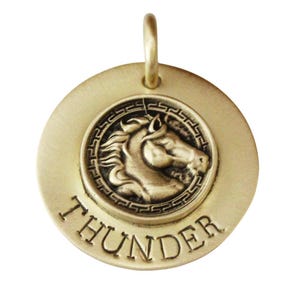 Custom Horse Dog Tag, Pet ID Tag for Dogs, Horse Lover Pet Tag, Western Dog Tag, Unique Animal ID