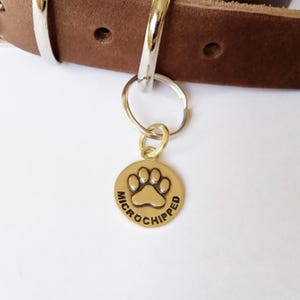 Microchipped Dog Tag Add-On, Minimal Pet ID Tag, Small Custom Dog Tag with Microchip Alert, Safety Backup Tag, Lightweight Dog ID Charm