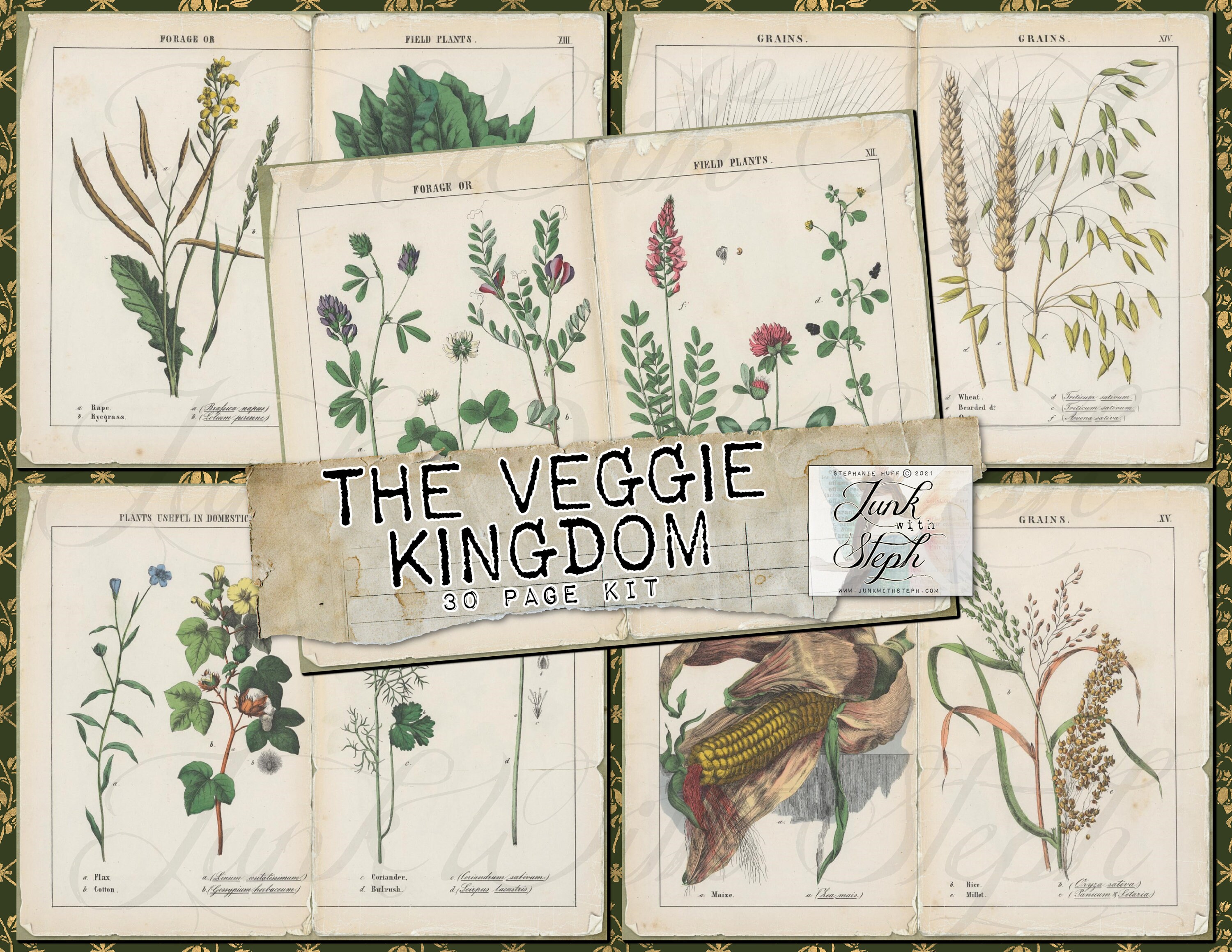 The Veggie Kingdom 30 Full Size Pages of Bold Vibrant Etsy
