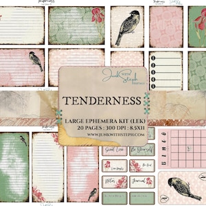 Ternura: Kit de efímeras GRANDES - 20 páginas de efímeras - Rosa, verde, crema, pájaro, álbum de recortes dulce, diario basura, boletos, tarjetas de índice, etiquetas, sobres