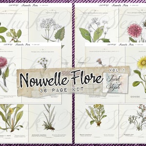 Nouvelle Flore (zestaw 1) - 36 podwójnych stron 1906-1912 Ilustracje kwiatów polnych Specjalny dziennik botaniczny i kwiatowy W stylu Edith Holden!