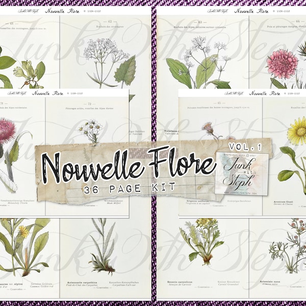 Nouvelle Flore (Set 1) - 36 Double Pages 1906-1912 Wild Flower Illustration Botanical Floral Specialty Junk Journal Edith Holden-esque!