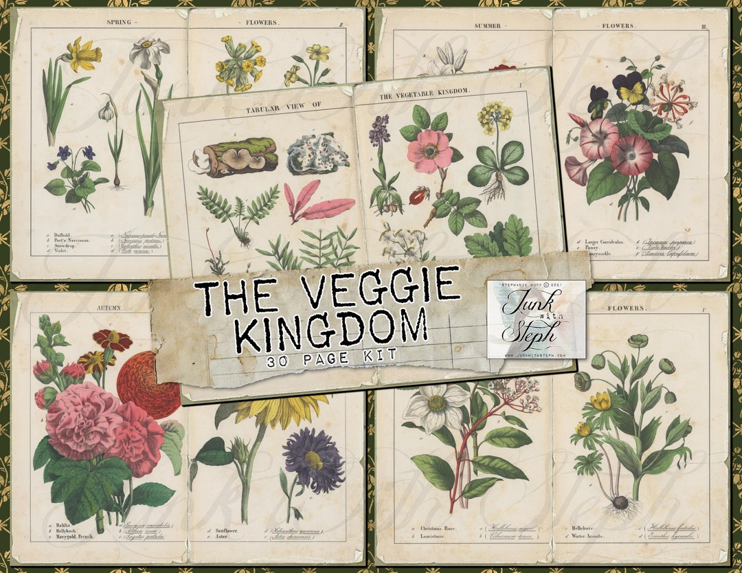 The Veggie Kingdom 30 Full Size Pages of Bold Vibrant Colorful