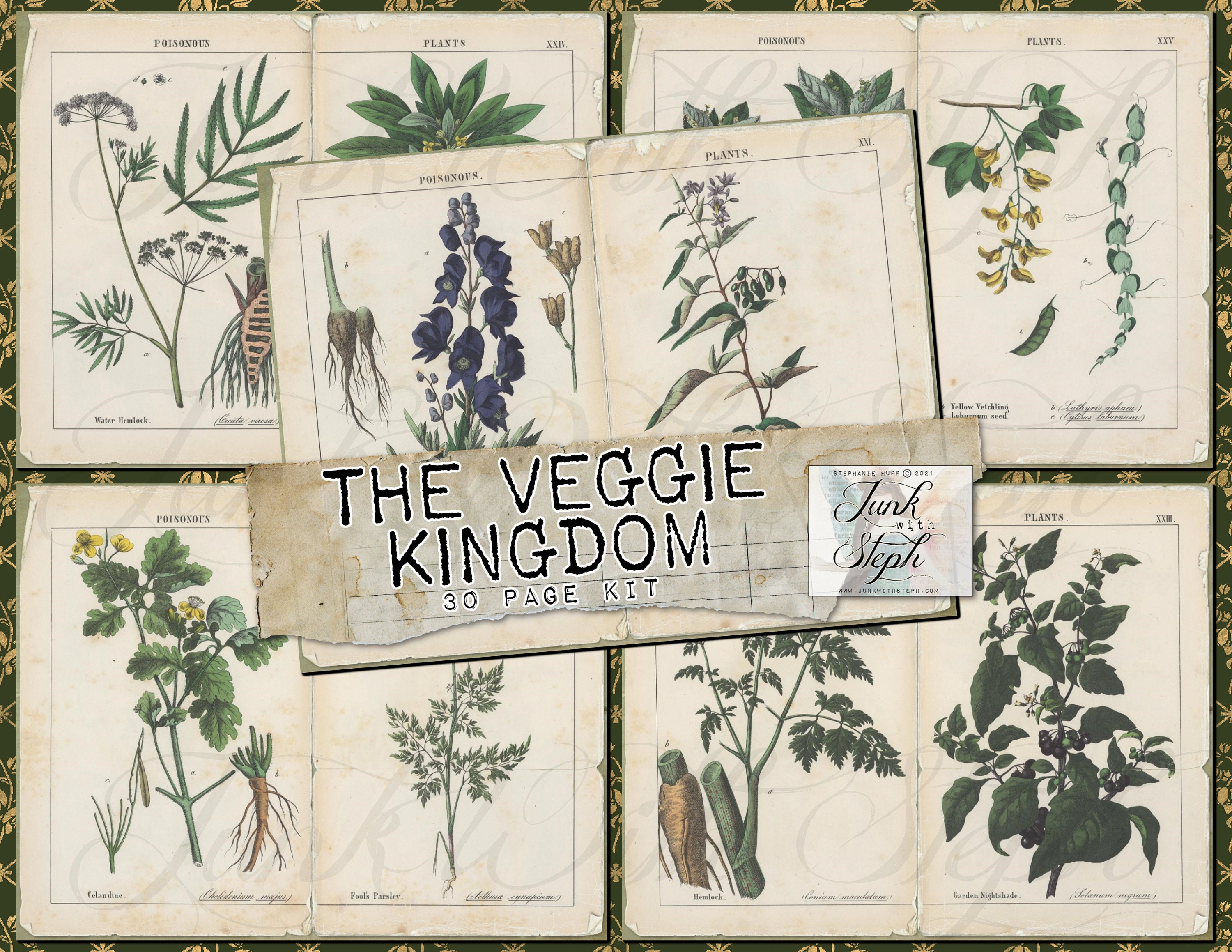 The Veggie Kingdom 30 Full Size Pages of Bold Vibrant Etsy