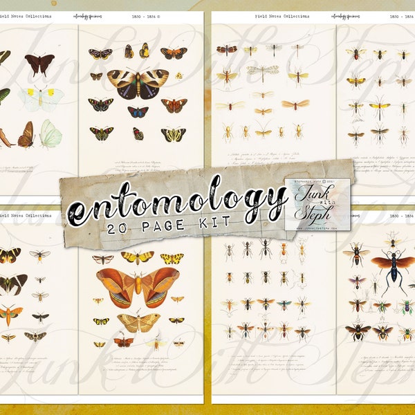 Field Notes Collection: Entomology - 20 Pages of vivid Bugs, Insects, Moths & Sample Specimens from 1830-1834 Ephemera Journaling Cards