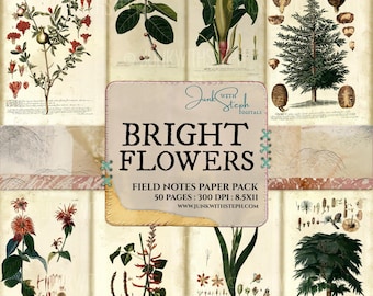 Flores brillantes: Kit imprimible de 50 páginas con ilustraciones botánicas de Edith Holden (descarga digital)