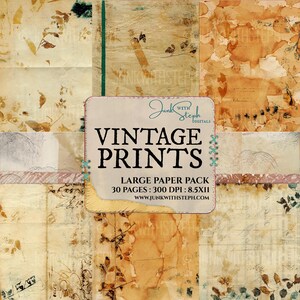 Impresiones antiguas: paquete de papel de 30 páginas: impresión ecológica grunge vintage, recibos envejecidos, cartas antiguas, documentos, basura botánica antigua, diario, fondo