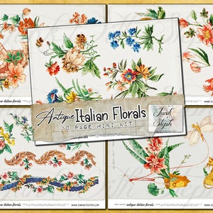 Fiori antichi italiani - Mini kit da 10 pagine - 6 pagine di splendide immagini, 4 pagine di sfondo Fussy Cut Ephemera Quirky Heritage Immagini scansionate