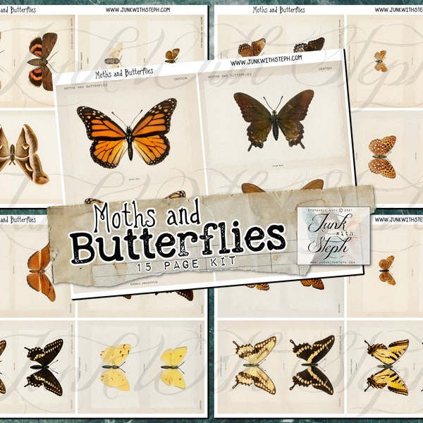 Moths and Butterflies - 15 Pages of vivid Butterflies, Insects, Moths & Sample Specimens Ephemera Journaling Cards Nature printed plates