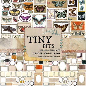 Tiny Bits - Etiqueta Ephemera - 3 páginas de etiquetas de borboletas Ephemera ALTAMENTE DETALHADAS Vintage 100+ Etiquetas de diário de lixo Números de quadro Script