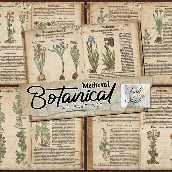 Medieval Botanical - 20 Pages Botanical Illustrations Vintage 1700's Book Hand drawn Antique Script Digital Printable Junk Journal Kit