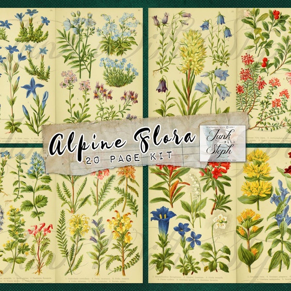 Alpine Flora - 20 Double Pages Wild Flower Illustration Digital Printable Junk Journal Kit - Specialty Collage Papers - Edith Holden-esque!