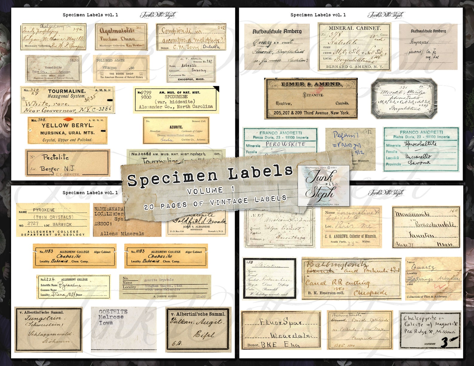 Specimen Labels Vol.1 with 20 pages with over 150 seperate Etsy
