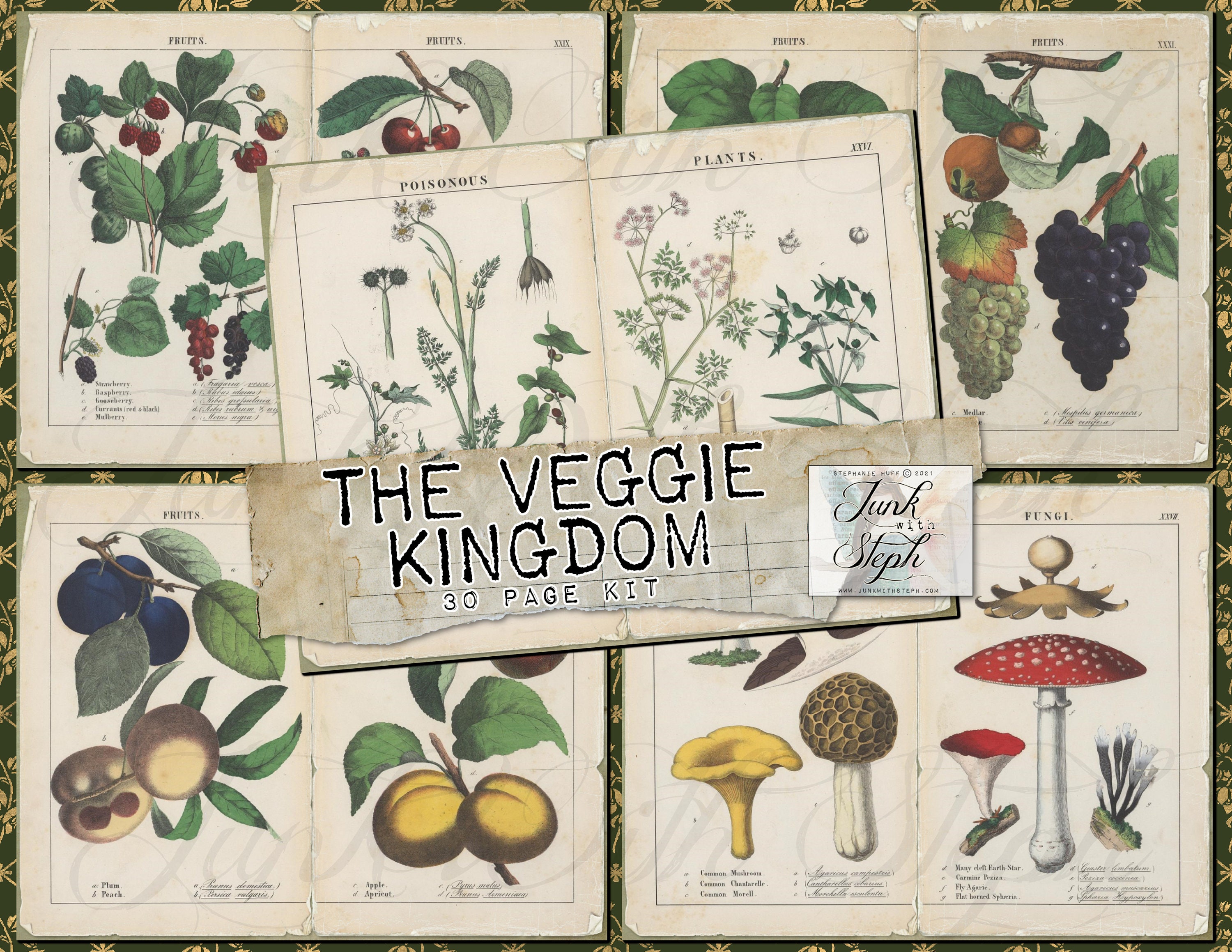 The Veggie Kingdom 30 Full Size Pages of Bold Vibrant Etsy