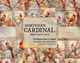 Bird DEAL - NORTHERN CARDINAL - 10 Pages of Journaling Card mixed media collage vibrant portrait card ephemera junk journal scrapbook floral