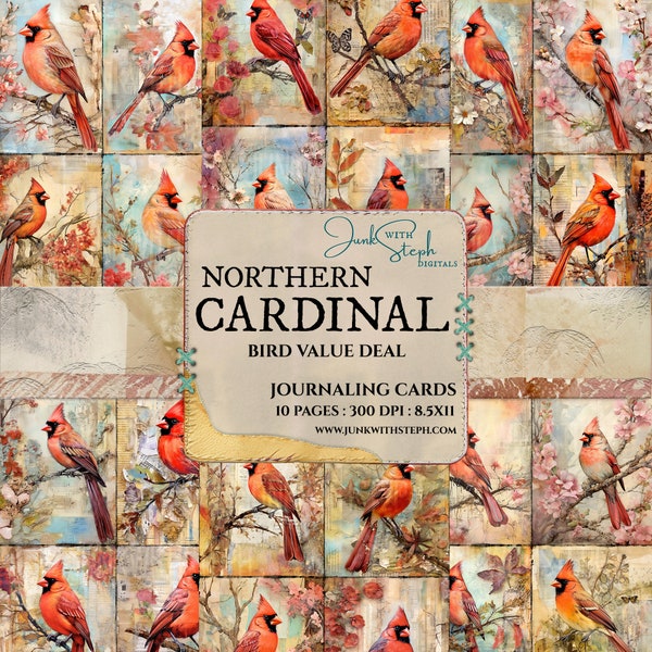 Bird DEAL - NORTHERN CARDINAL - 10 Pages of Journaling Card mixed media collage vibrant portrait card ephemera junk journal scrapbook floral