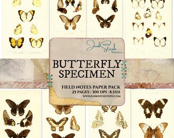 Butterfly Specimens Ephemera: 25 pages Vintage Field Notes, Junk Journaling (Digital Download)