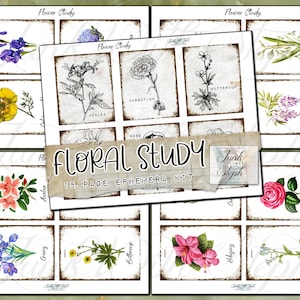 Estudio floral: tarjetas didácticas de flores variadas y vibrantes. 72 tarjetas de tamaño de diario y tarjetas de tamaño ATC en blanco y negro también. ¡Ambos juegos están incluidos!