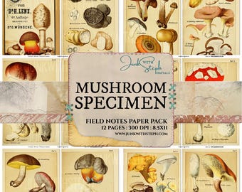 Mushroom Specimen: 1870s Vintage Ephemera Fussy Cut 12 Pages Journaling Cards (Digital Download)