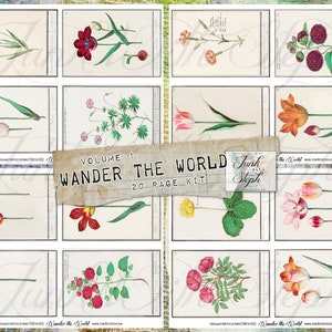 Wander the World - Kit éphémère de 20 pages, comprenant plus de 80 magnifiques images florales comme cartes de journalisation pour le scrapbooking, journal botanique indésirable