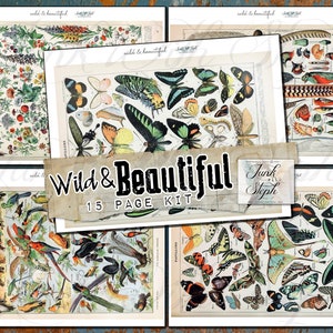 Field Notes-collectie: Wild and Beautiful - 15 pagina's met levendige vlinders, dieren in het wild, insecten, bloemen en planten! Perfect voor tijdschriften!