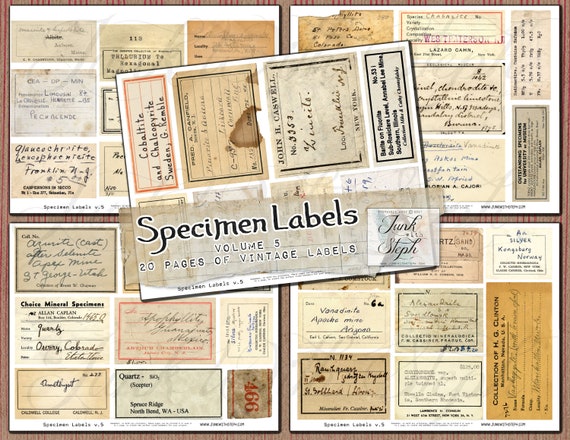 Specimen Labels Vol. 5 With 20 Pages, Over 150 Separate GENUINE