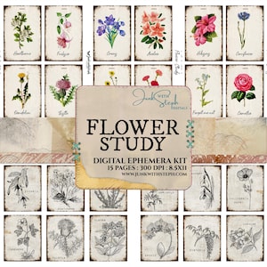 Flower Study Flash Cards: Journaling Card Plants and Flowers with Names Ephemera (Digital Download)