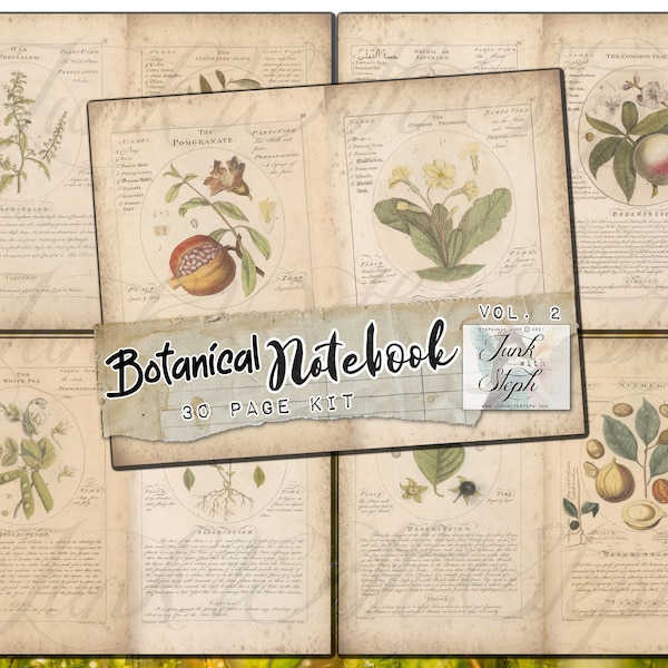 Botanical Notebook v.2 - 30 Page Wildflower Illustration Digital Printable Junk Journal Kit - Specialty Collage Papers - Edith Holden-esque!