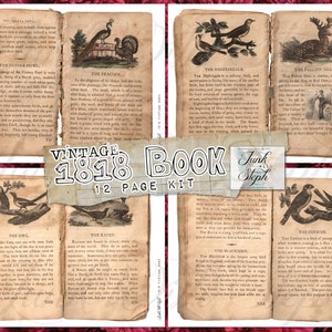 Vintage 1818 Book: A beautifully illustrated Animal pages book scanned copyright 1818 super vintage 12 pages Junk Journal Tags Labels Extras
