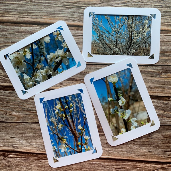 Flowering Crab Apple Photo Cards - Spring Flowers - Set of 4 - Blank Notecards - White Flowering Tree