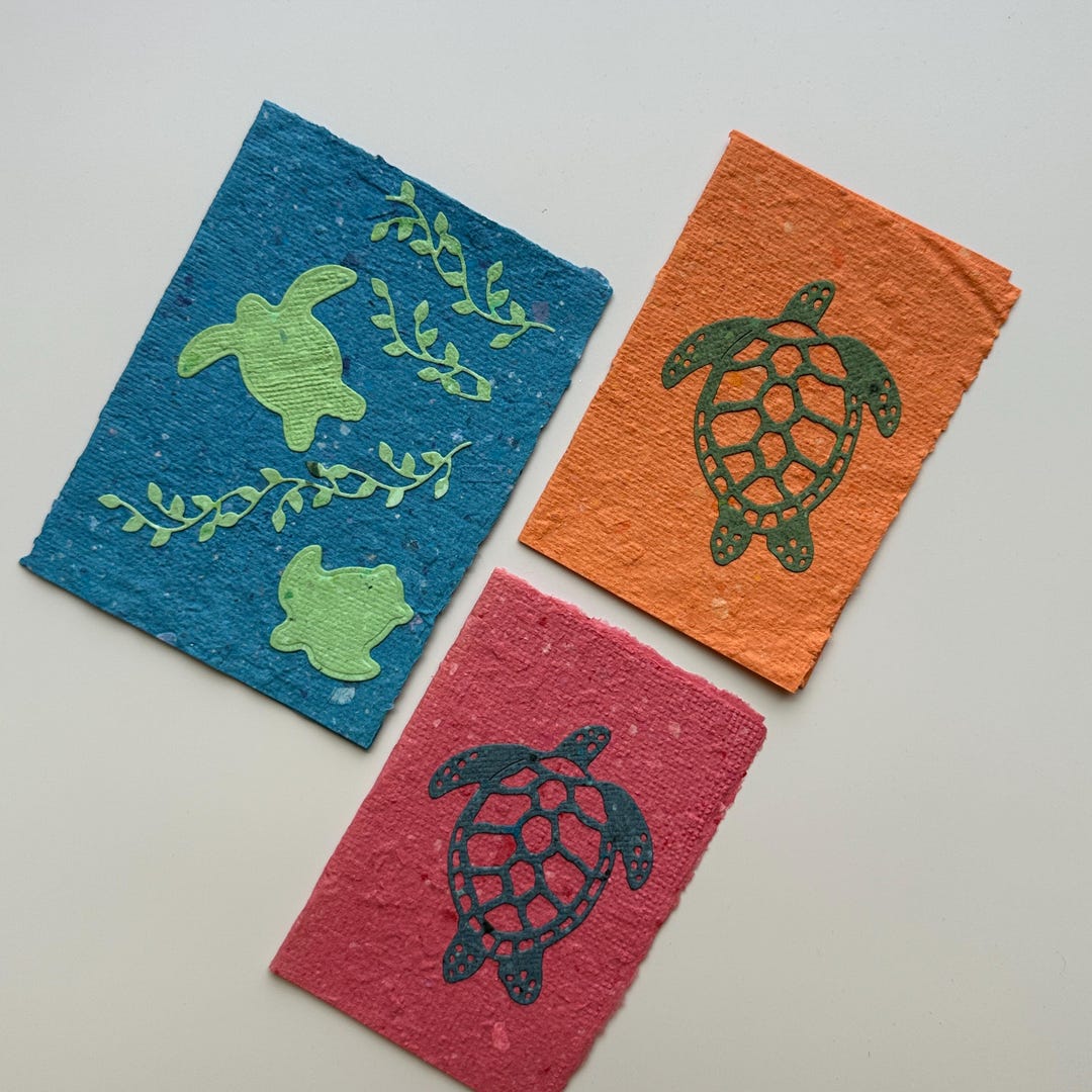 Turtle Shell Card Back Turtle Cards on Handmade Paper (set of 3) - Etsy
