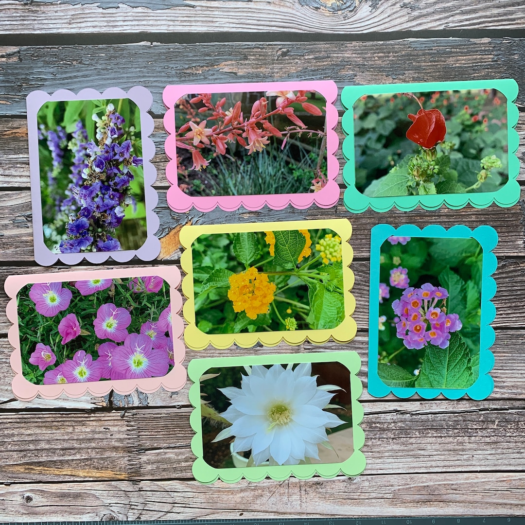 Flowers Photo Cards Spring Flowers Set of 7 Blank - Etsy