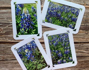 Texas Bluebonnets Photo Note Cards - Set of 4 - Texas Flowers- Blank Note Cards