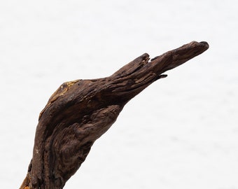 Driftwood Sculpture Bird