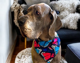 Libro de beneficios de pañuelos para mascotas sin fines de lucro