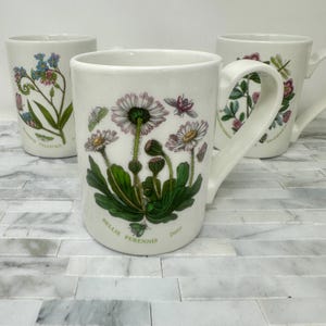 Portmeirion Botanic Garden White Floral Coffee Mug, Vintage Susan William Ellis Forget Me Not Daisy Rhododendron Made in Britain, Floral