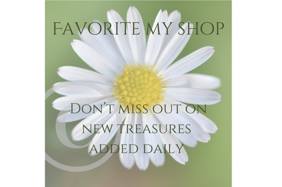 Kendra scott shop lennox