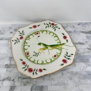 Lou Rota Nature Table Anthropologie Praying Mantis Plate 9