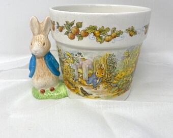 Teleflora Peter Rabbit - Etsy