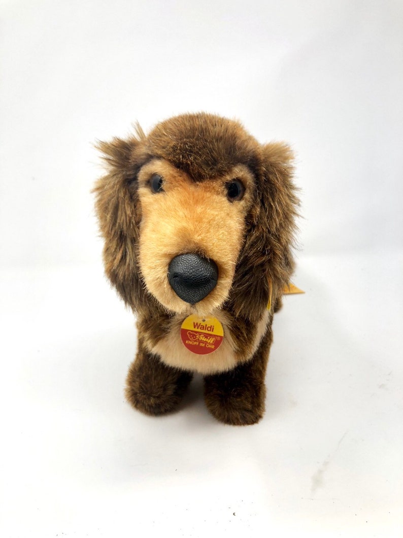 steiff dog