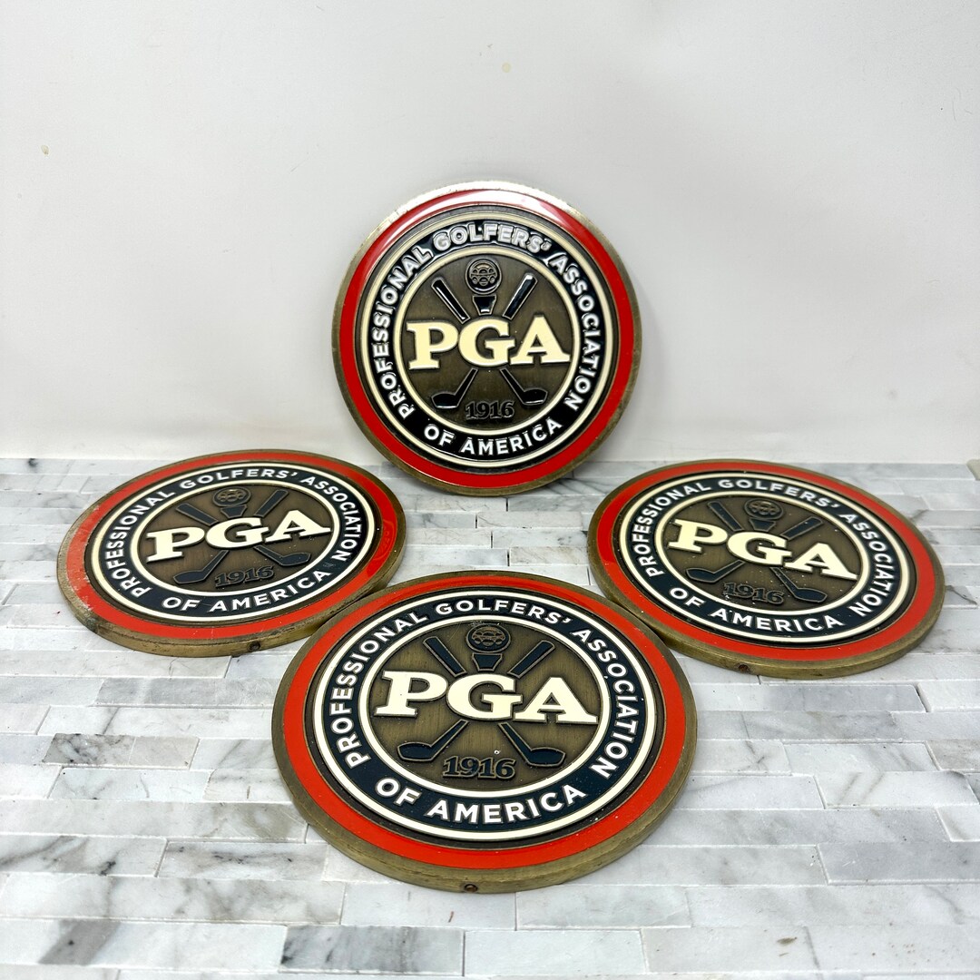 10 PGA OF AMERICA GOLF PROFESSIONALS AND LPGA PROFESSIONALS COMPETE AS COREBRIDG