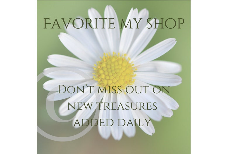Puede incluir: Primer plano de una margarita blanca con centro amarillo sobre un fondo verde suave. La superposici&oacute;n de texto dice "Favorite My Shop" y "No te pierdas los nuevos tesoros a&ntilde;adidos diariamente."