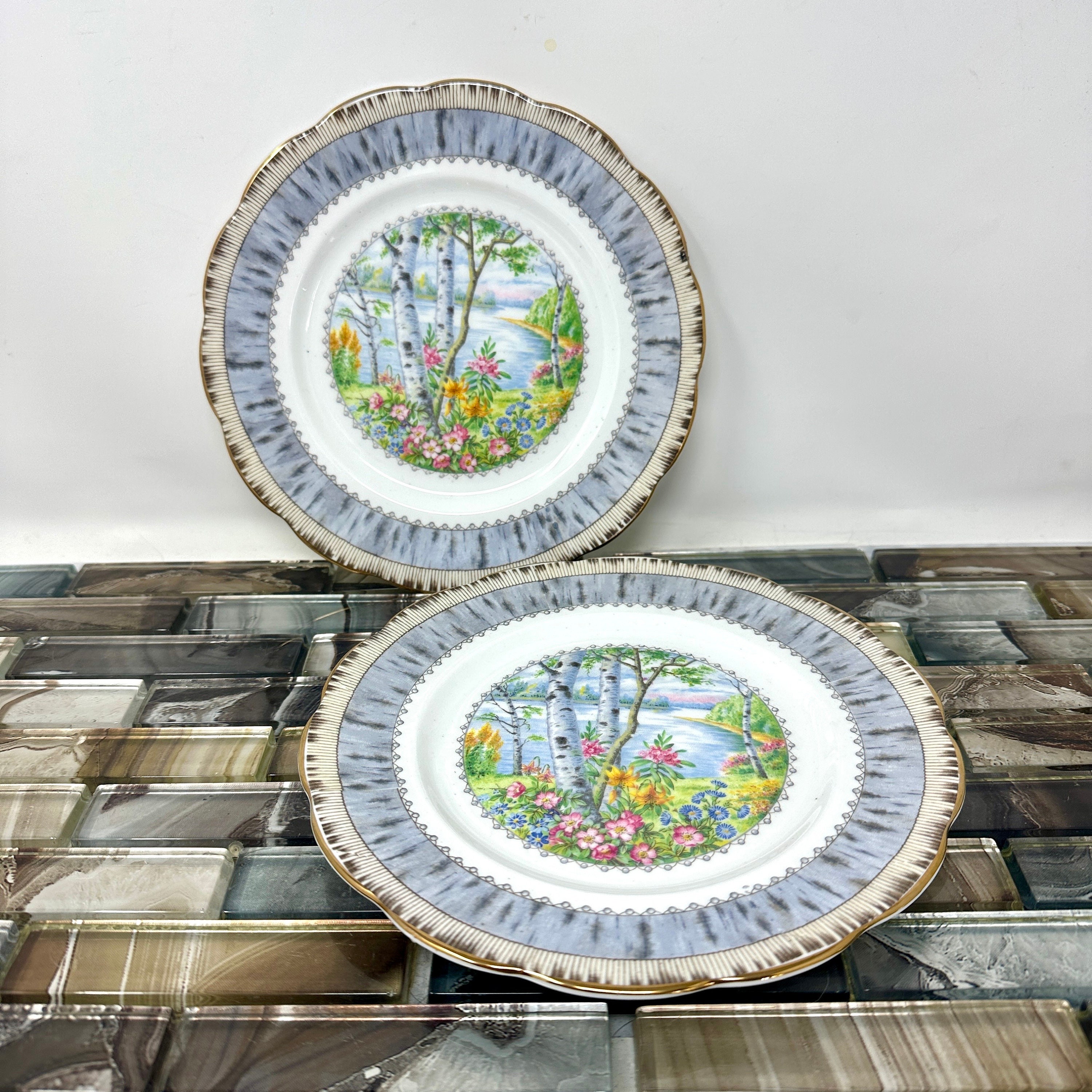 Royal Albert Silver Birch - Etsy