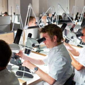 Może przedstawiać: Grupa os&oacute;b pracujących przy indywidualnych stanowiskach pracy z mikroskopami. Każda osoba ma na sobie biały fartuch laboratoryjny i skupia się na swojej pracy.
