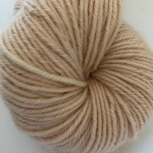 Sandpiper Worsted Weight Yarn - Shell (light) Colourway