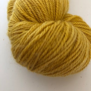 Sandpiper Worsted Weight Yarn - SUN Colourway
