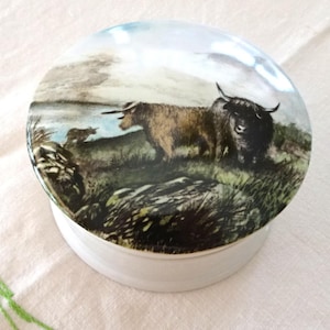 May include: A white ceramic trinket box with a lid. The lid is decorated with a painting of Highland cattle in a landscape. The painting shows two brown and black cattle in a field with a lake and sky. The box is round.