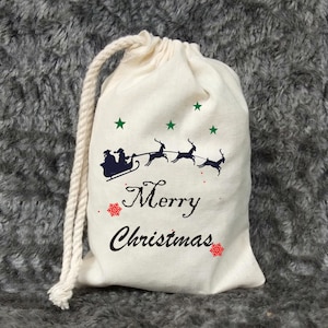 Merry Christmas Party Favor Bag - Holiday Recovery Kit - Christmas Gift Bag - Xmas Holiday Party Favor - Birthday favor bags- Santa Delivery
